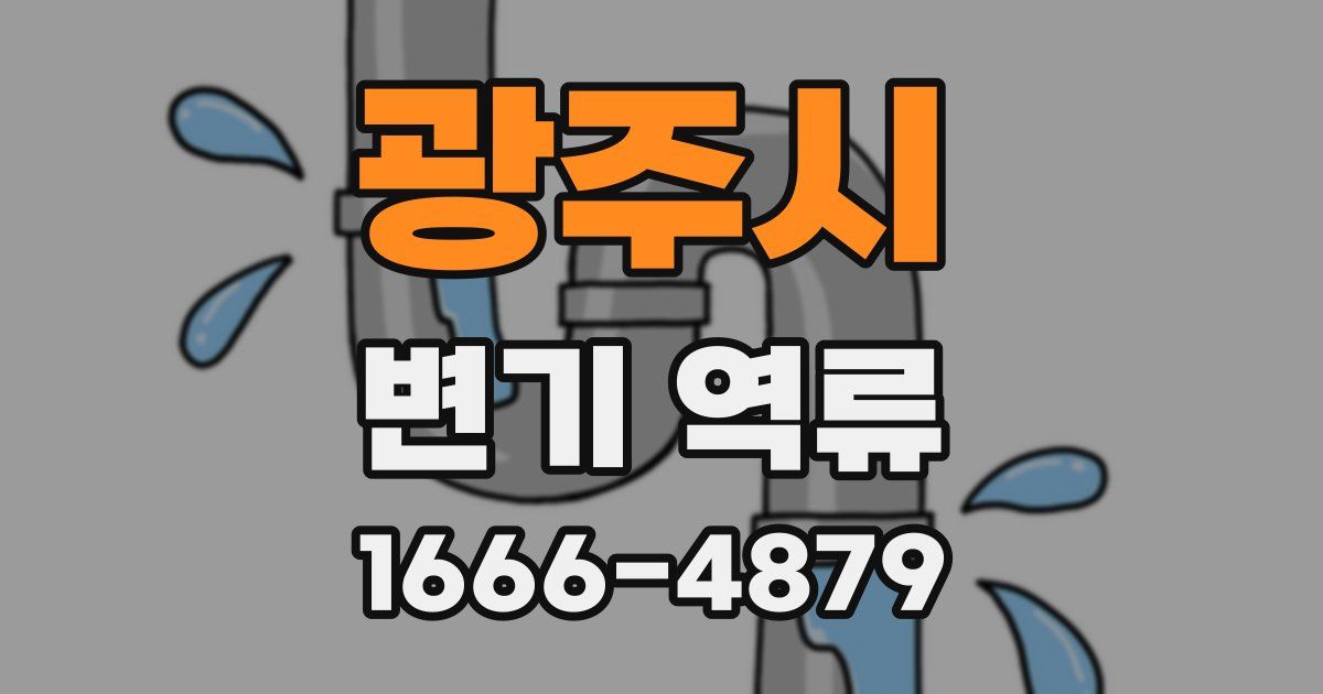 광주시 변기 역류