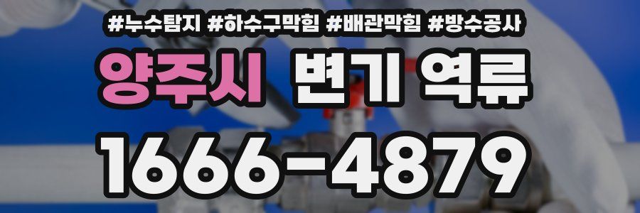 양주시 변기 역류