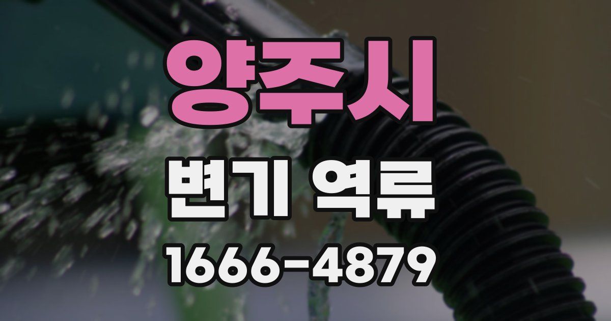 양주시 변기 역류