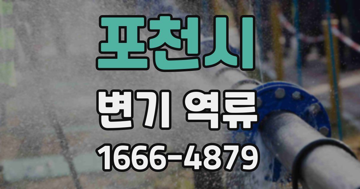포천시 변기 역류