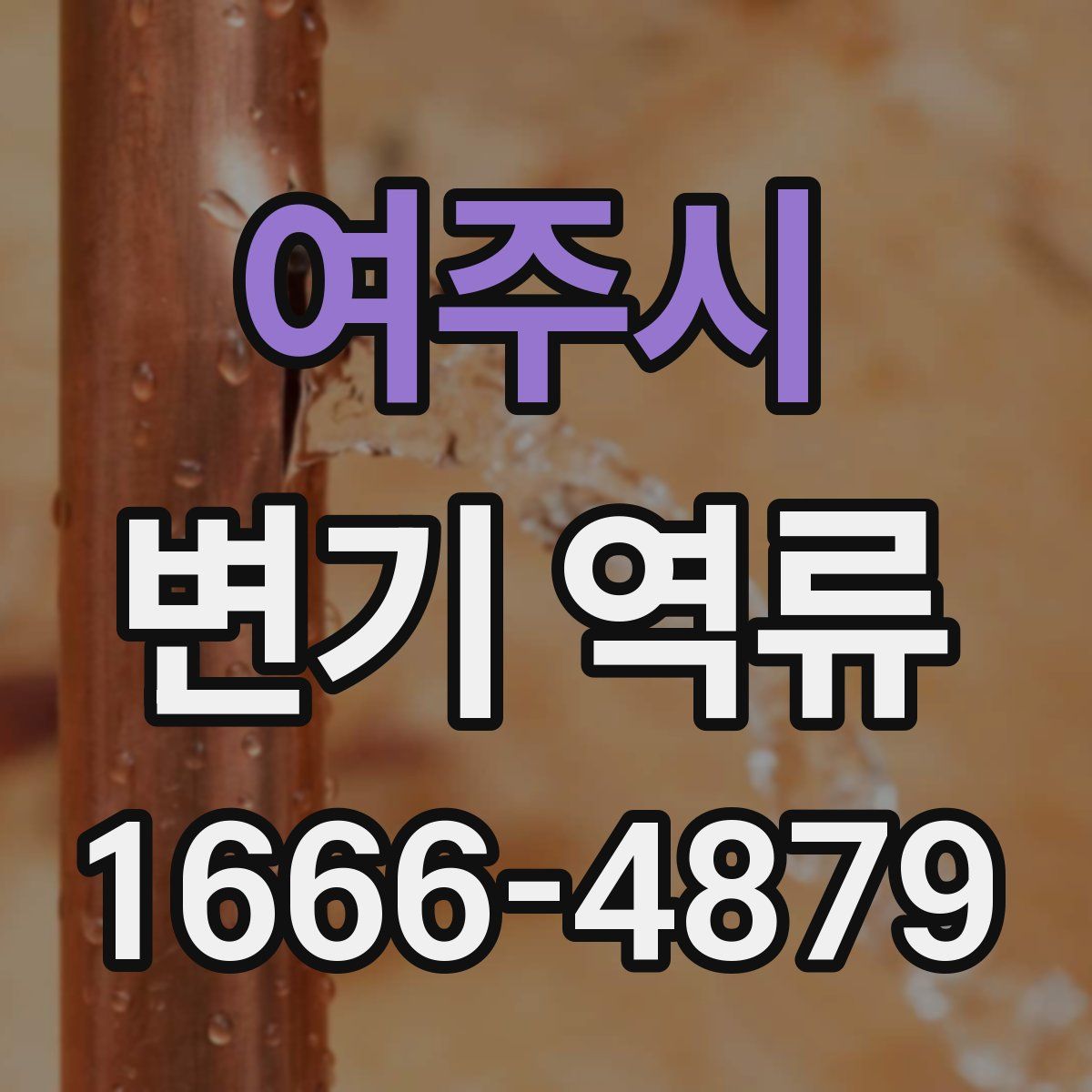 여주시 변기 역류