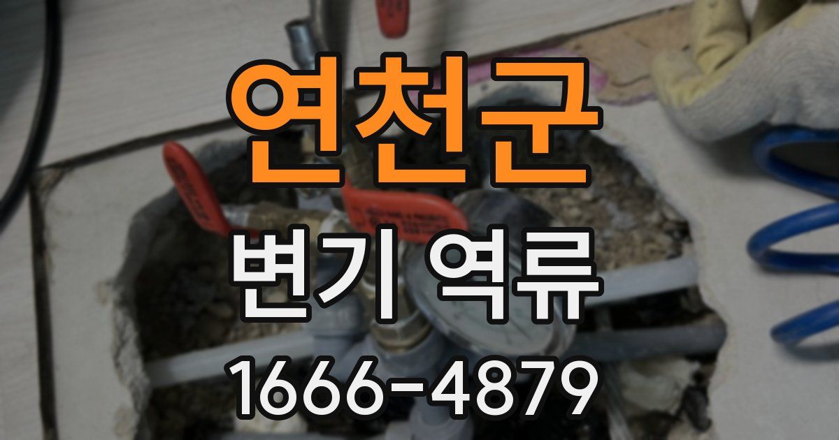 연천군 변기 역류