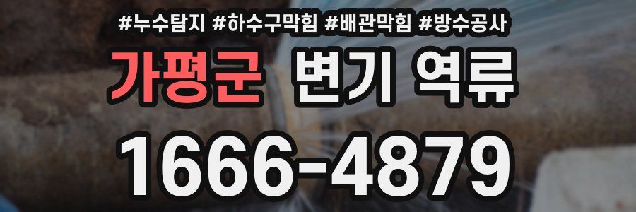 가평군 변기 역류