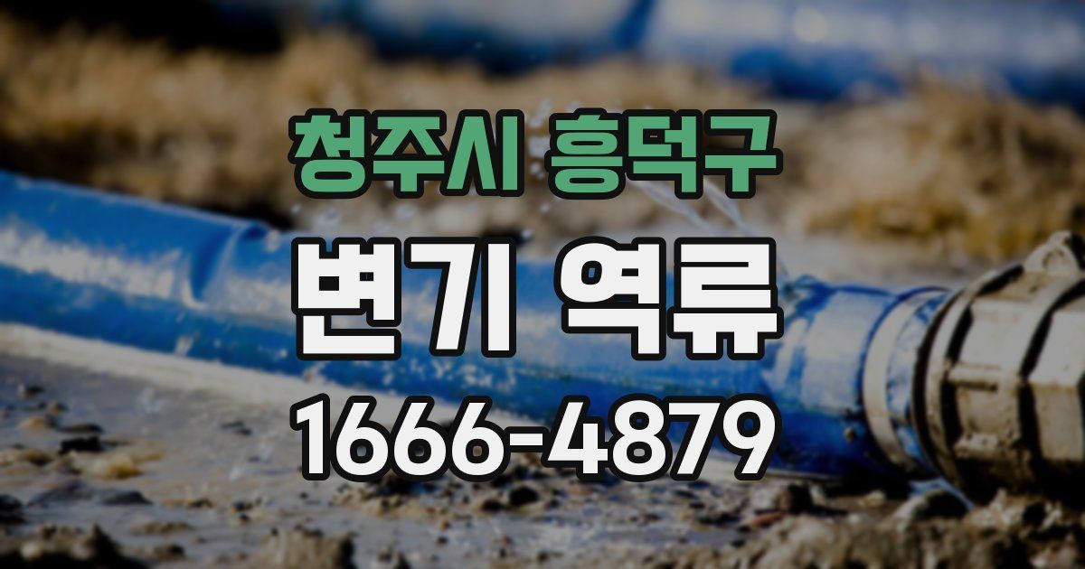 청주시 흥덕구 변기 역류