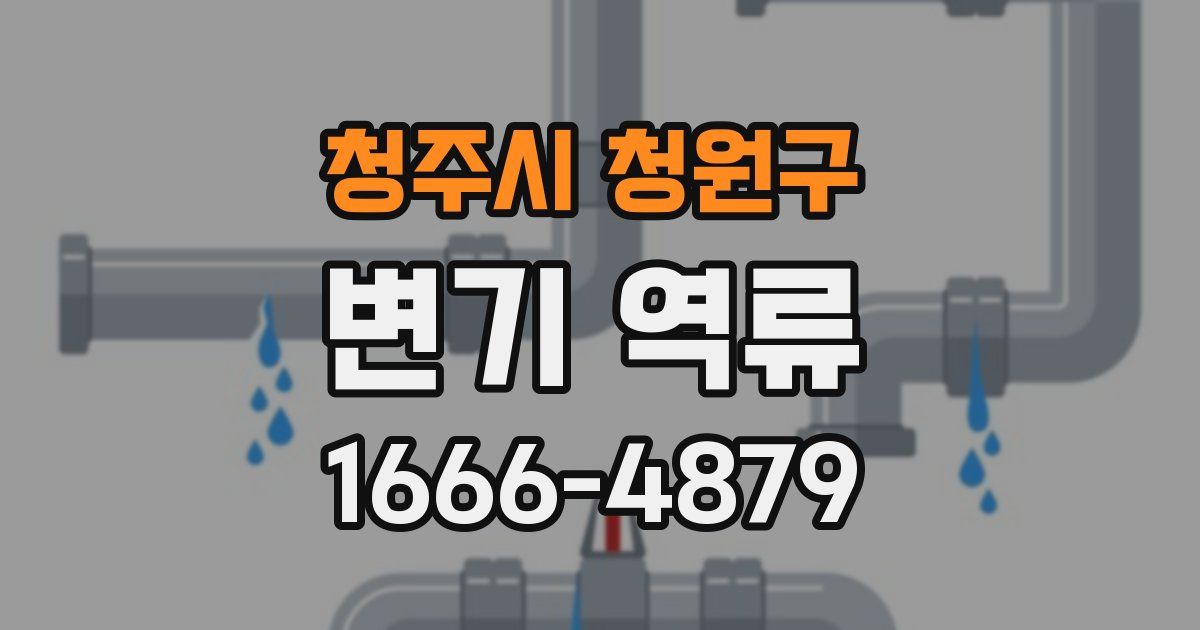 청주시 청원구 변기 역류