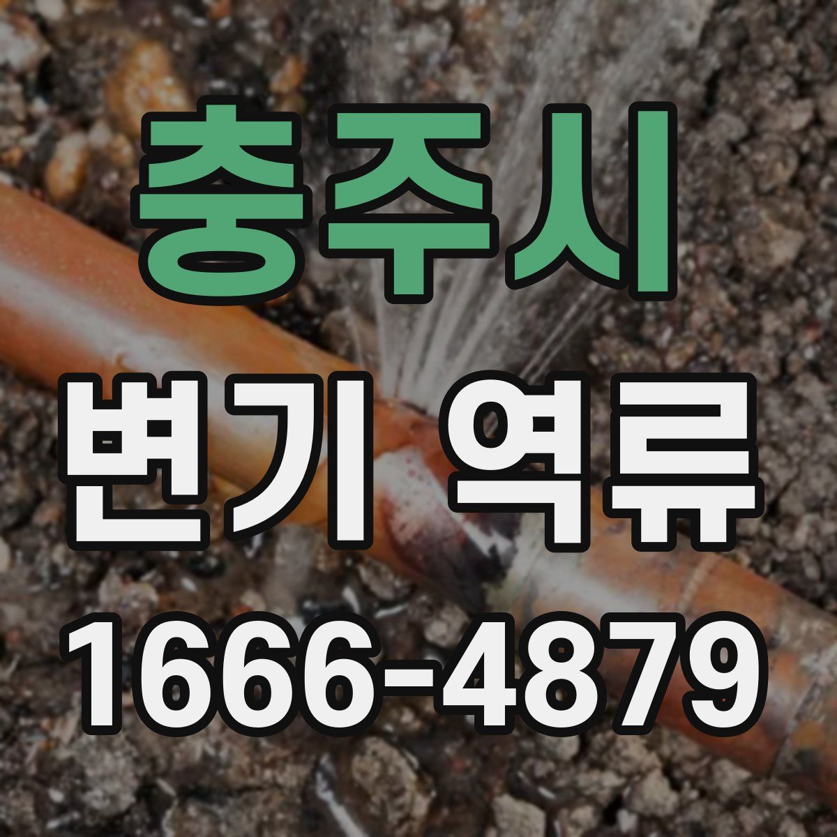 충주시 변기 역류