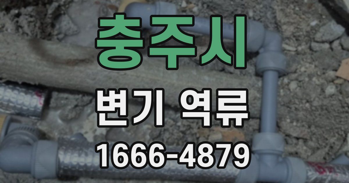 충주시 변기 역류