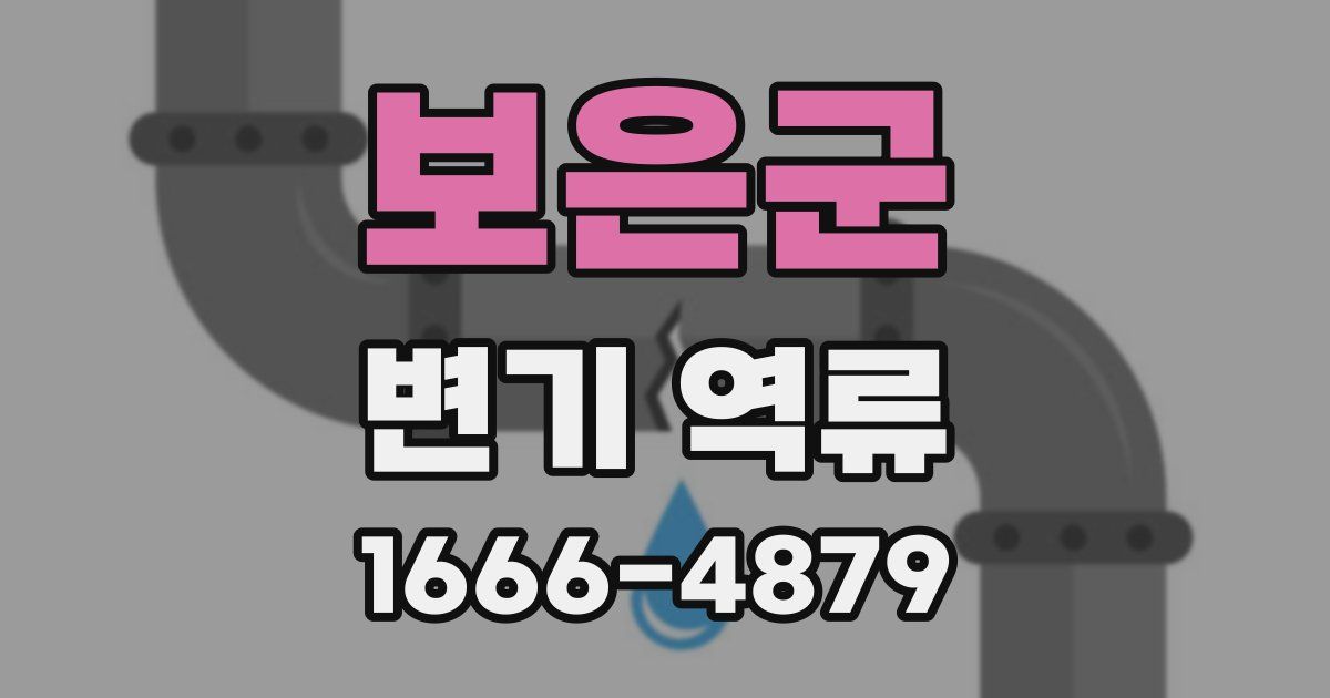 보은군 변기 역류