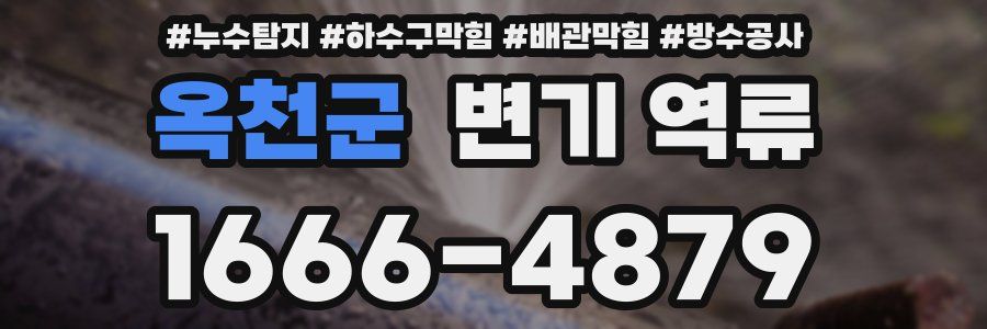 옥천군 변기 역류