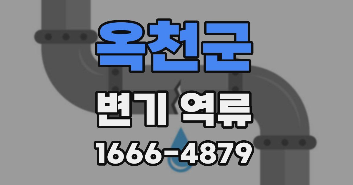 옥천군 변기 역류