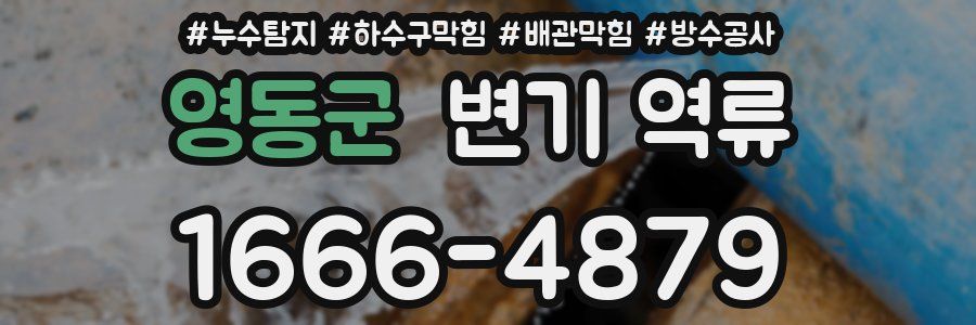 영동군 변기 역류