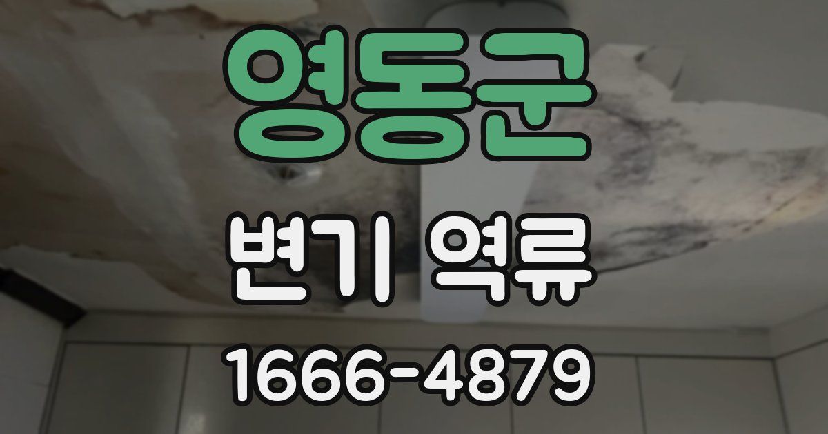 영동군 변기 역류
