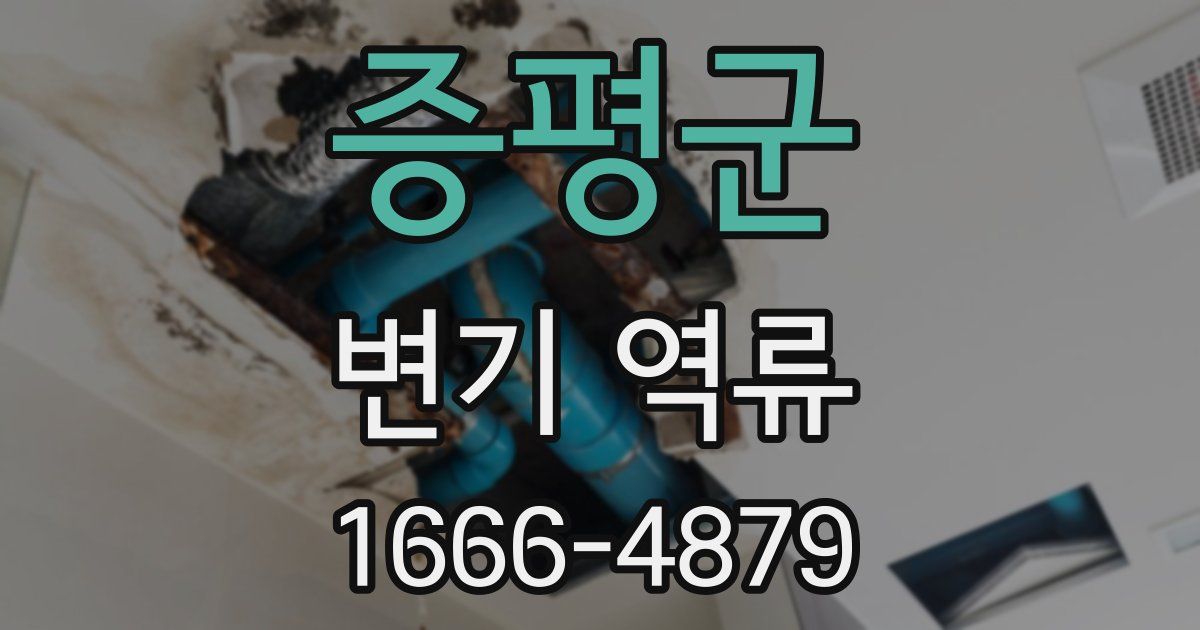 증평군 변기 역류