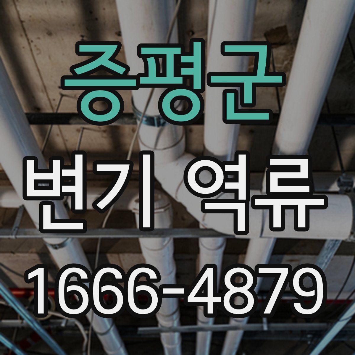 증평군 변기 역류