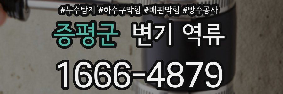 증평군 변기 역류