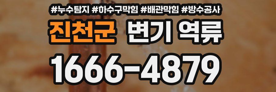 진천군 변기 역류