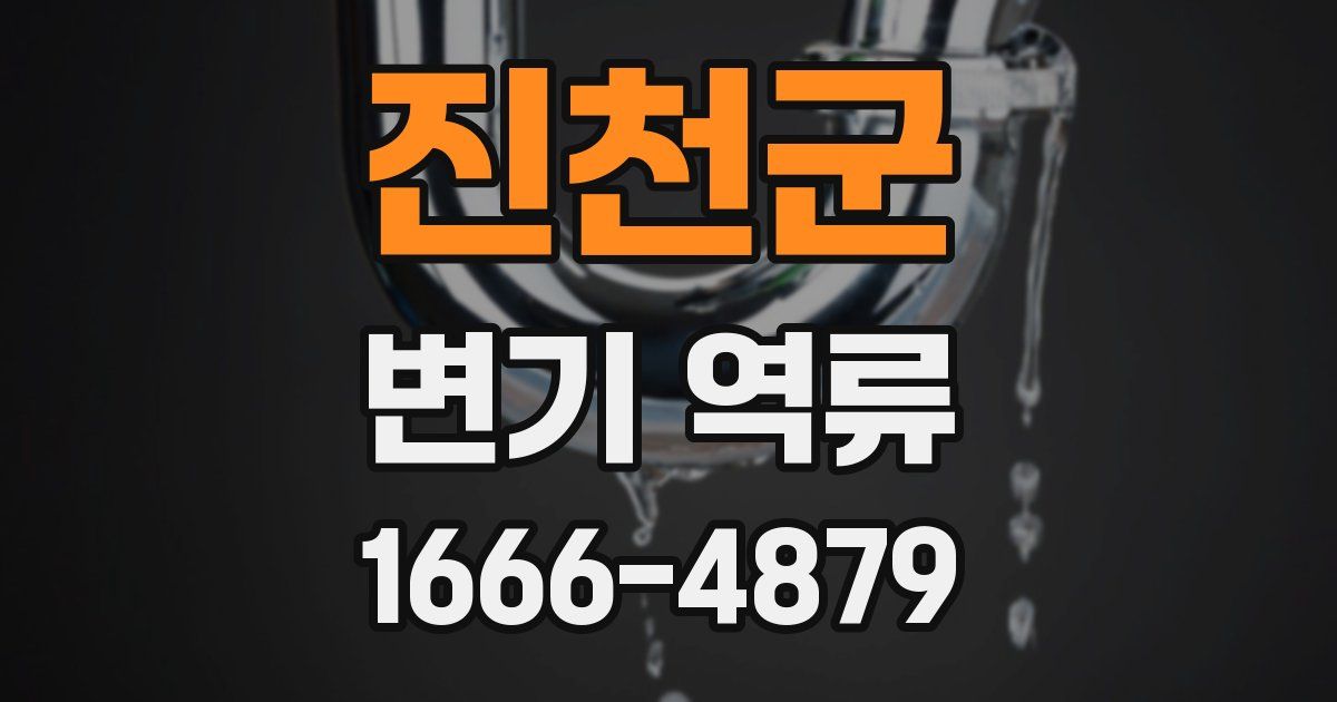 진천군 변기 역류