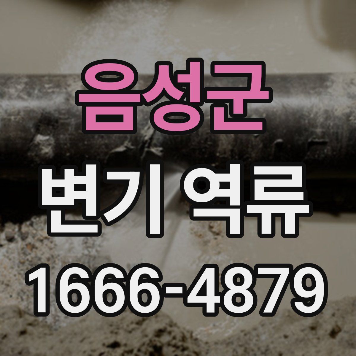 음성군 변기 역류