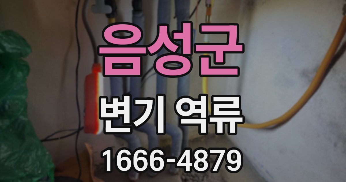 음성군 변기 역류