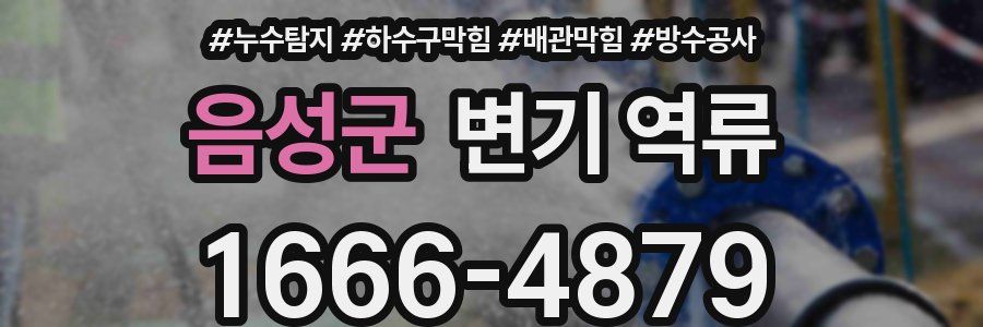 음성군 변기 역류