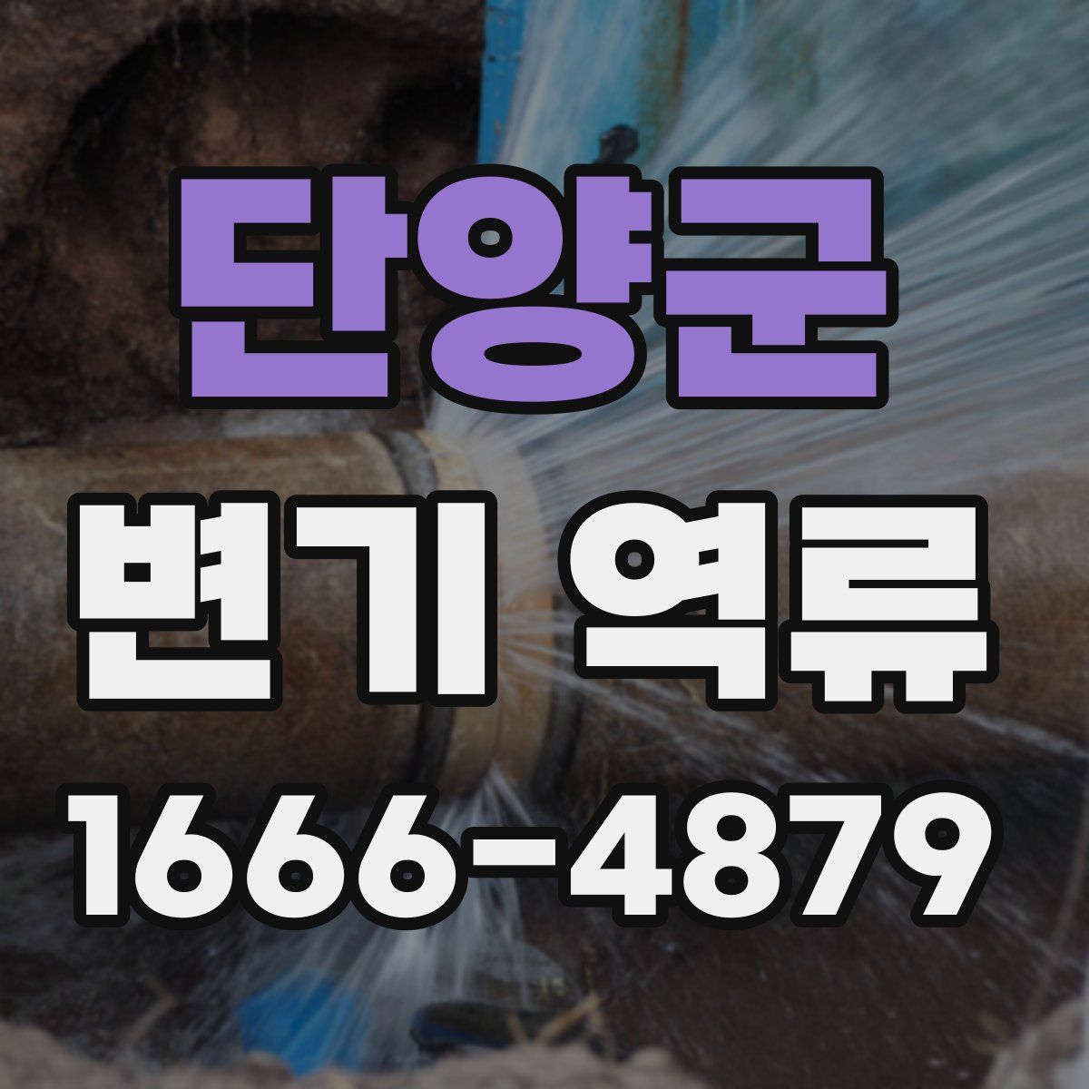 단양군 변기 역류