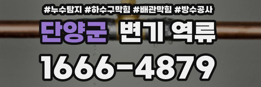 단양군 변기 역류