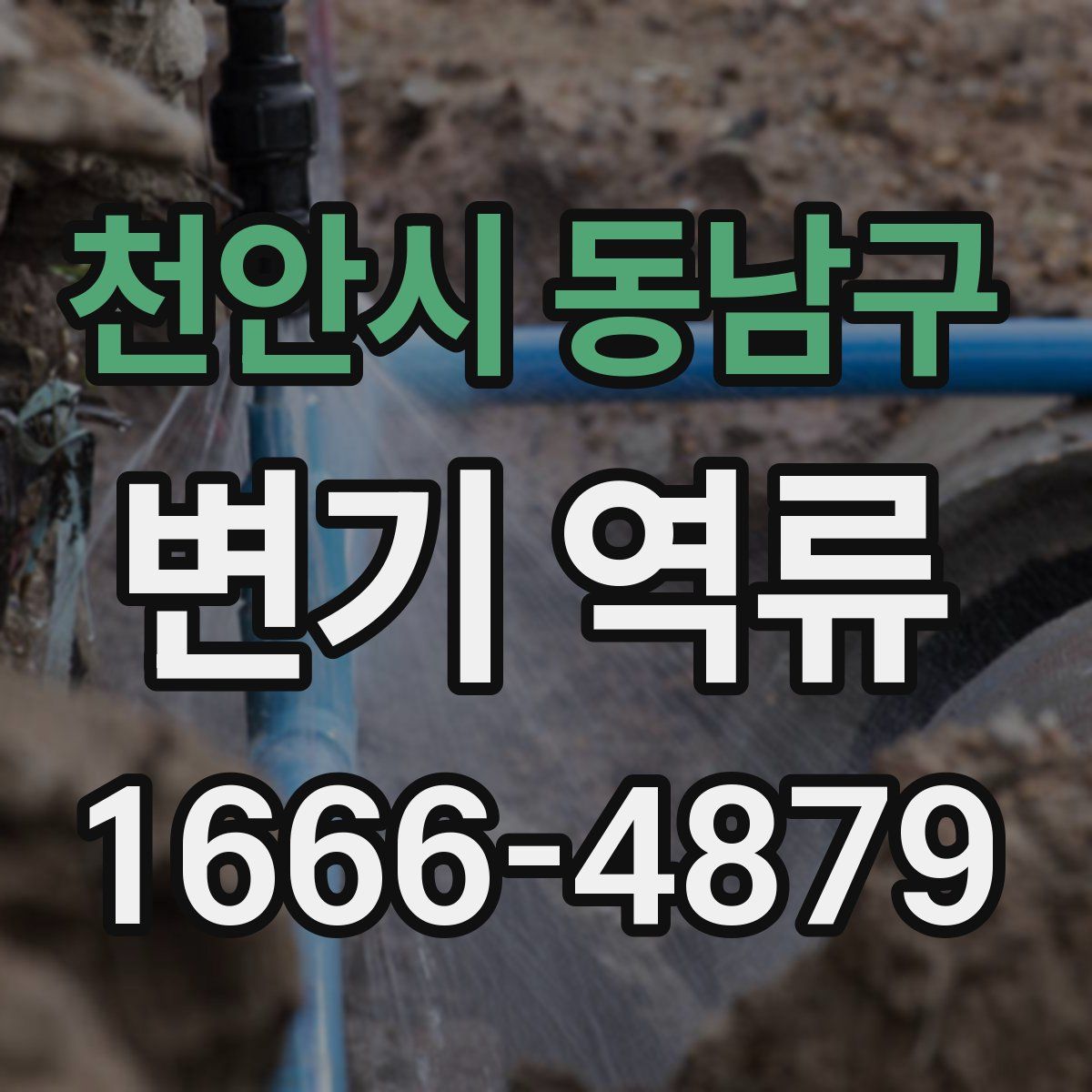 천안시 동남구 변기 역류