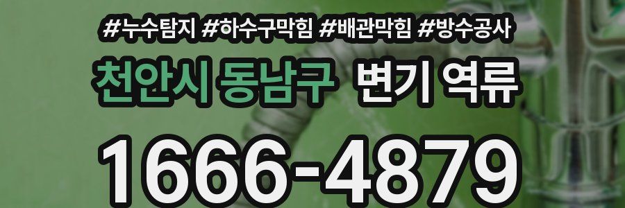 천안시 동남구 변기 역류
