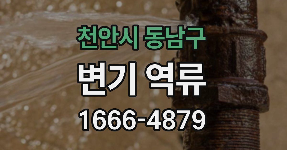 천안시 동남구 변기 역류