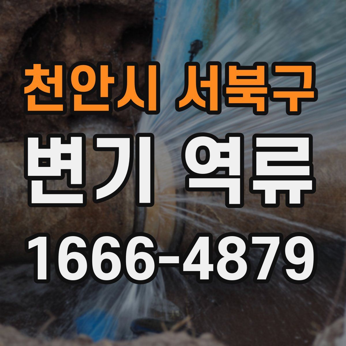 천안시 서북구 변기 역류