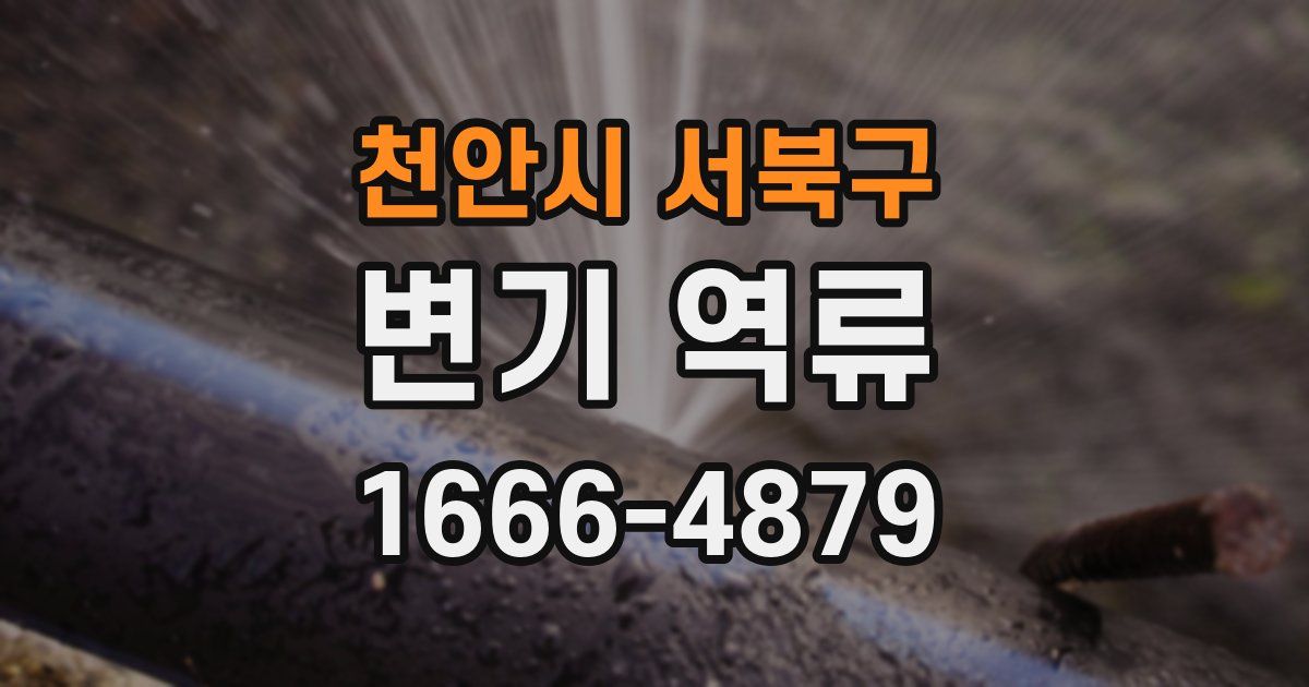 천안시 서북구 변기 역류