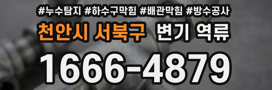천안시 서북구 변기 역류