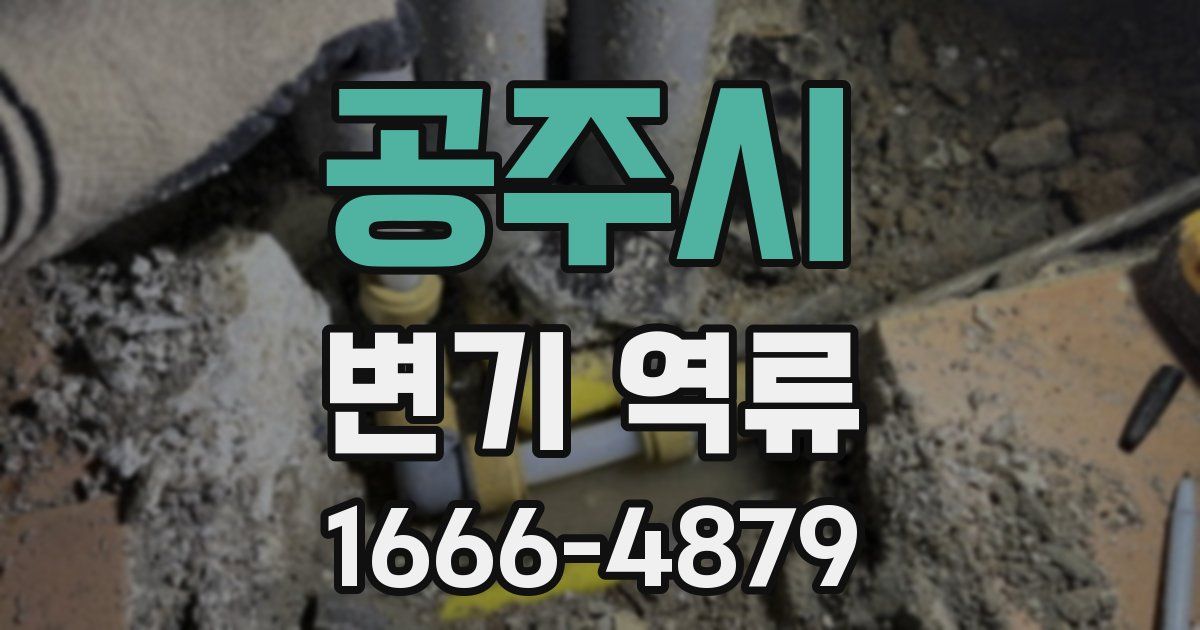 공주시 변기 역류
