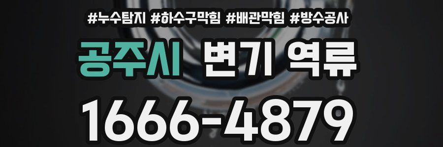 공주시 변기 역류
