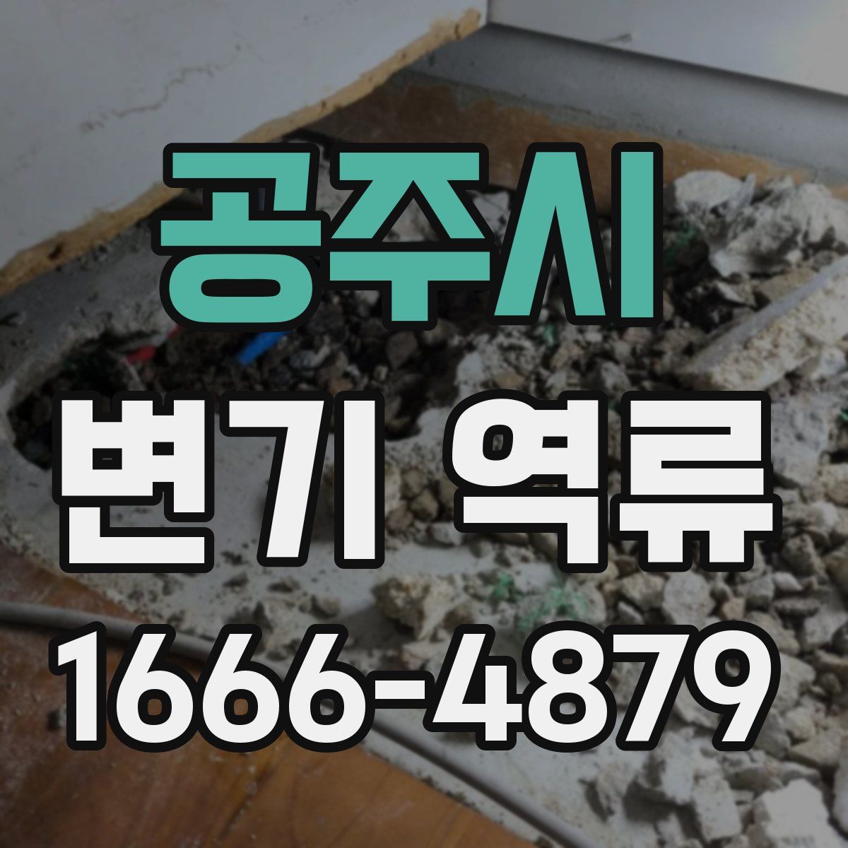 공주시 변기 역류