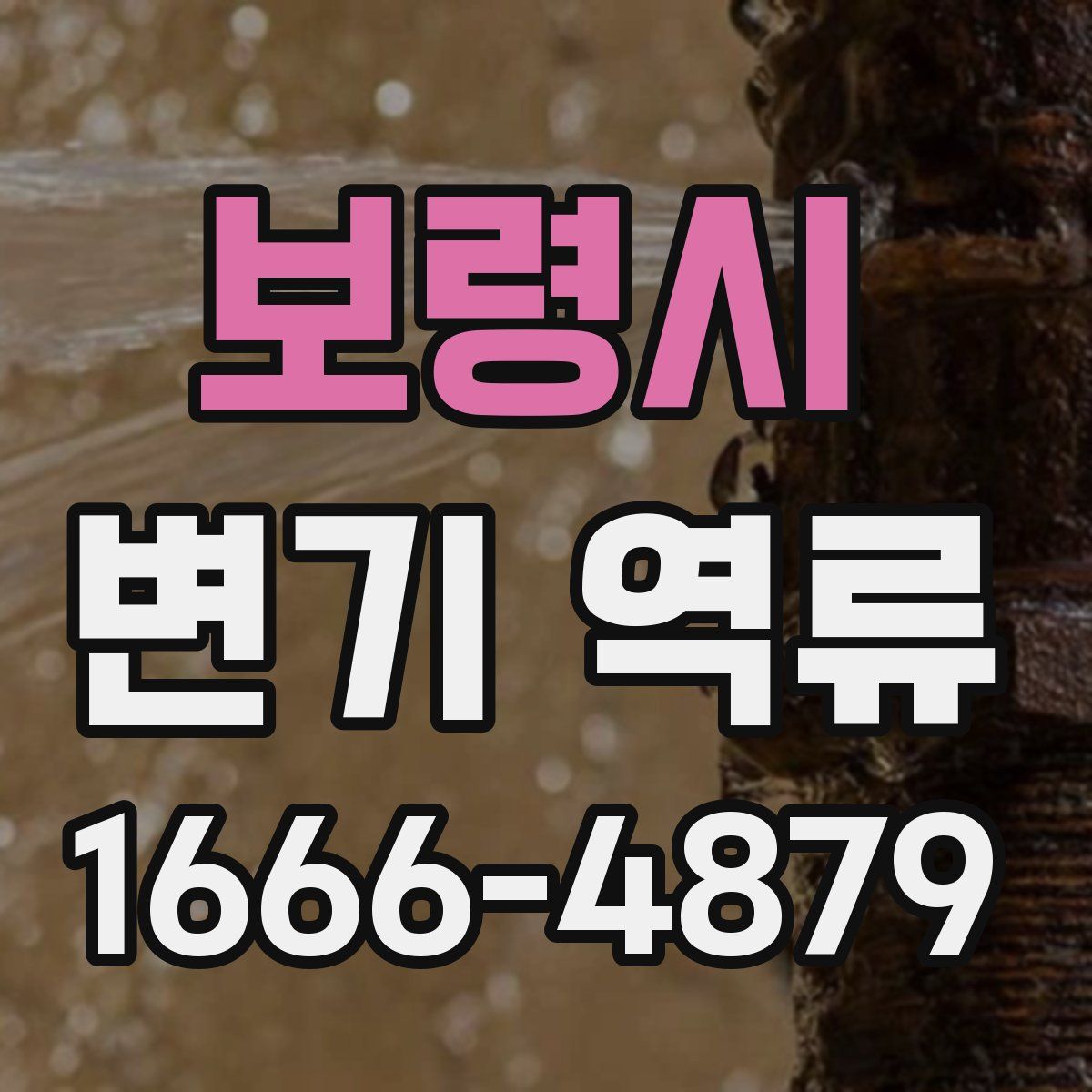 보령시 변기 역류