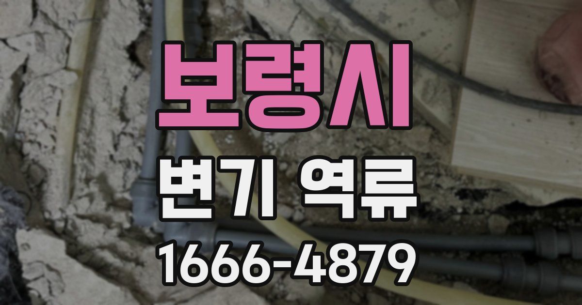 보령시 변기 역류