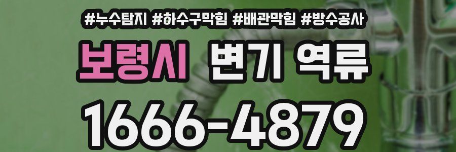 보령시 변기 역류