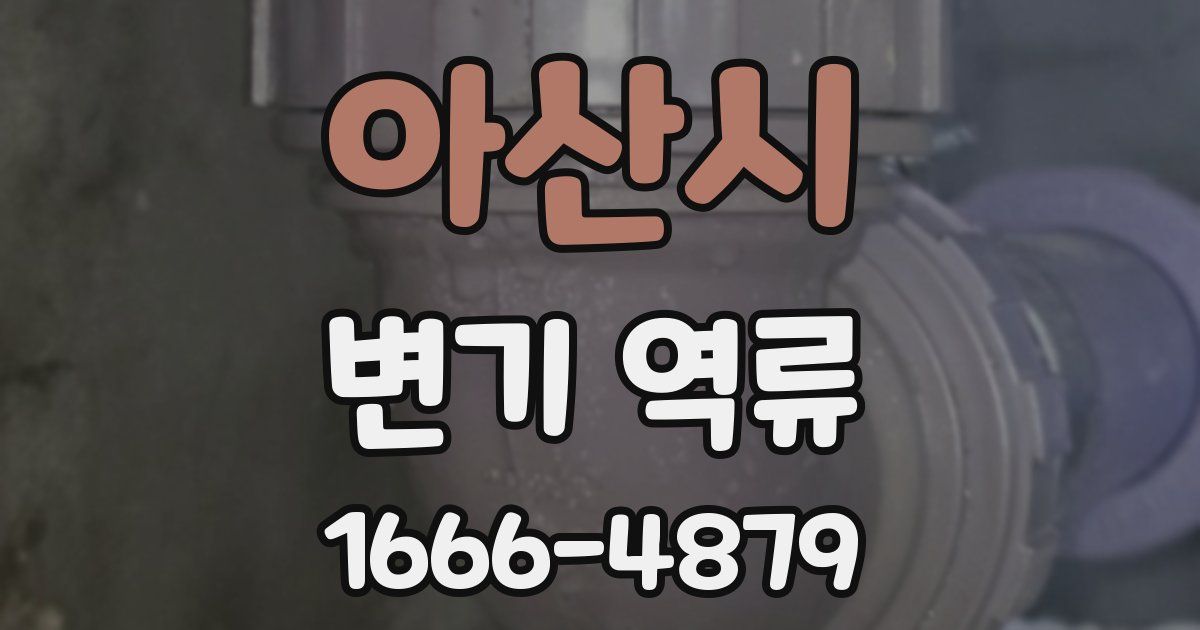 아산시 변기 역류