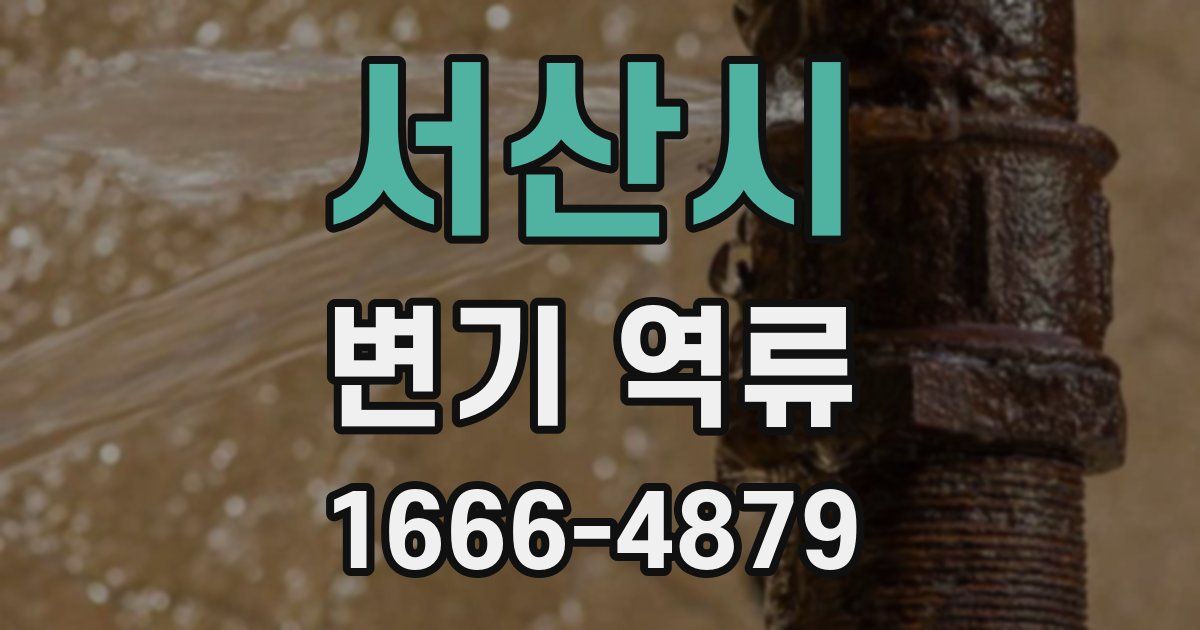 서산시 변기 역류
