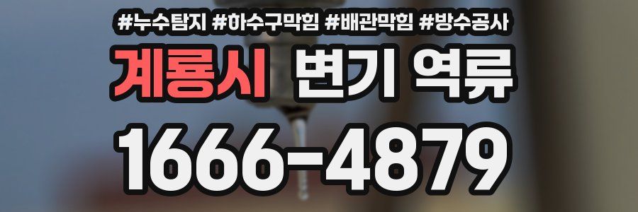 계룡시 변기 역류