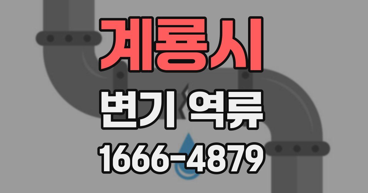 계룡시 변기 역류