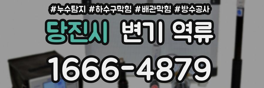당진시 변기 역류