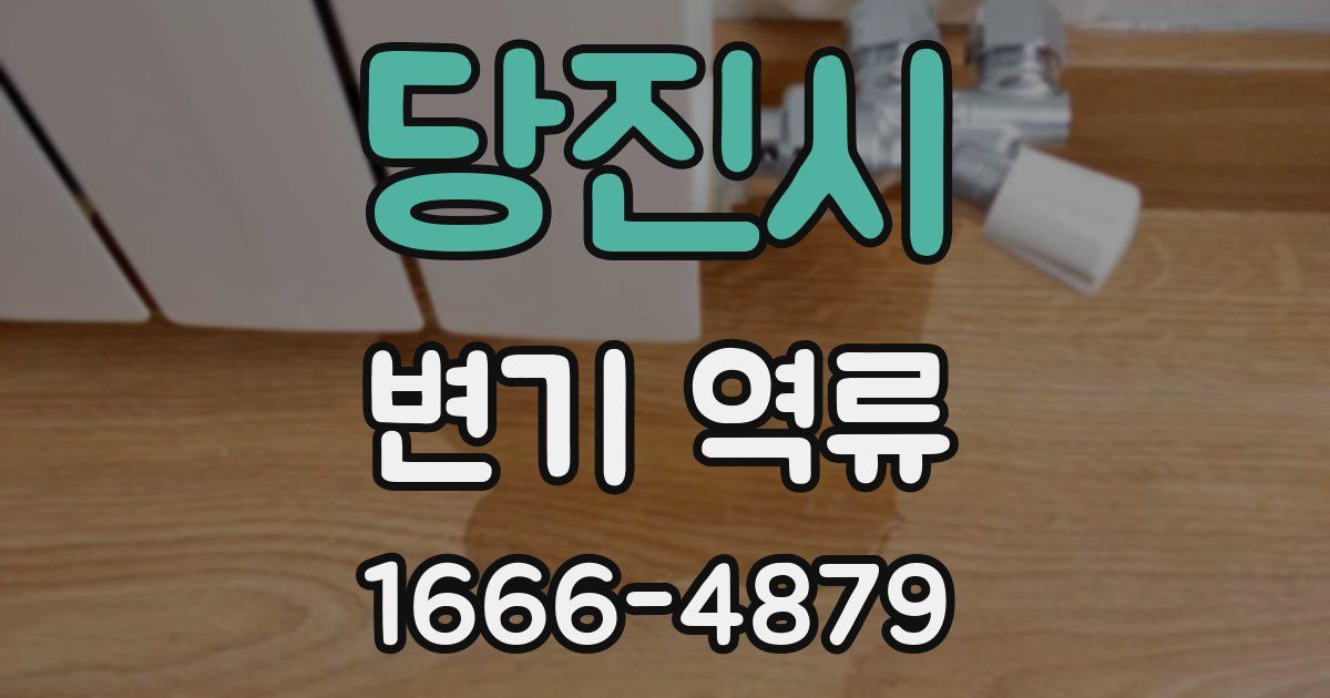 당진시 변기 역류