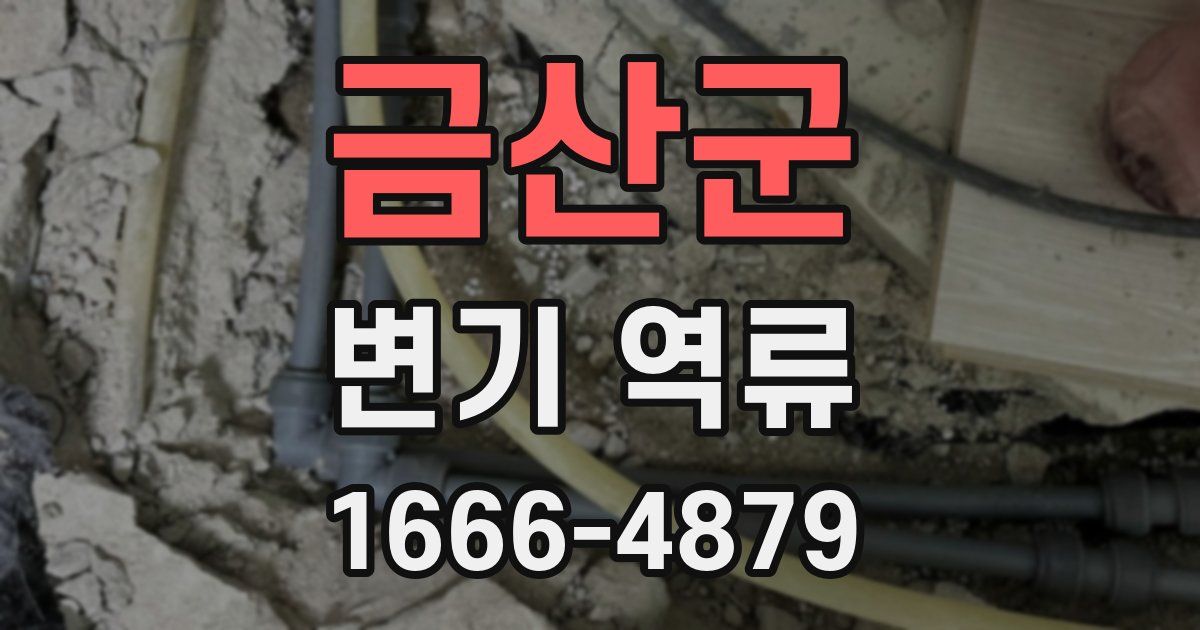 금산군 변기 역류