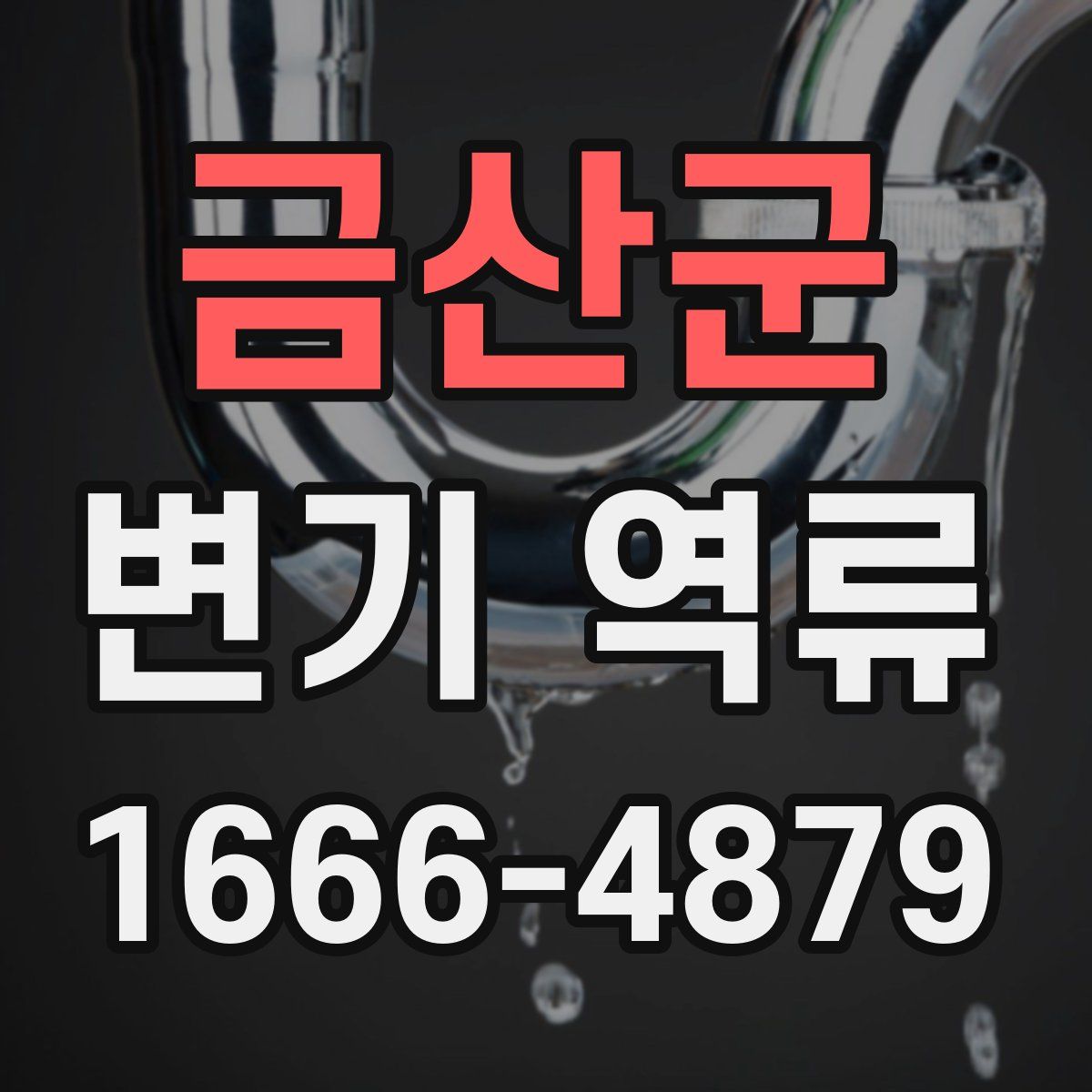 금산군 변기 역류