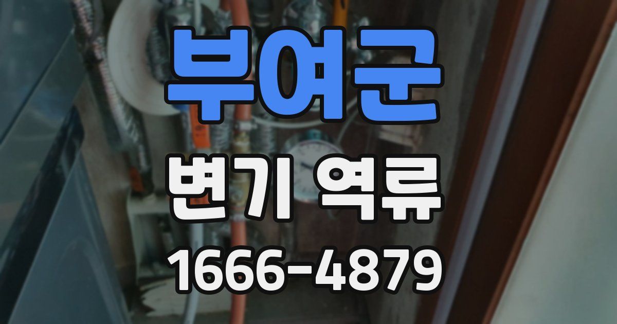 부여군 변기 역류