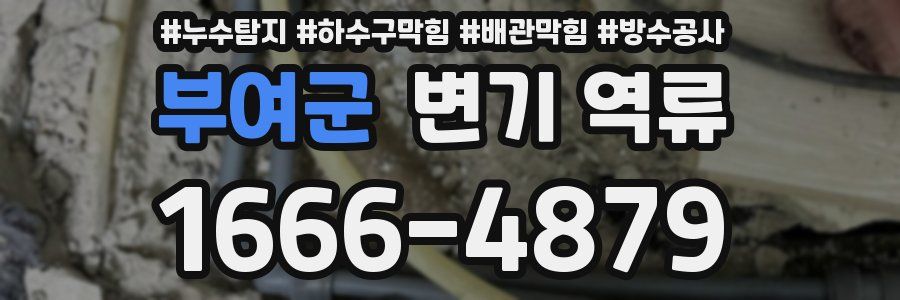부여군 변기 역류