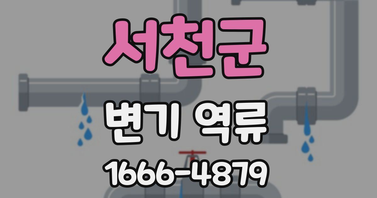 서천군 변기 역류