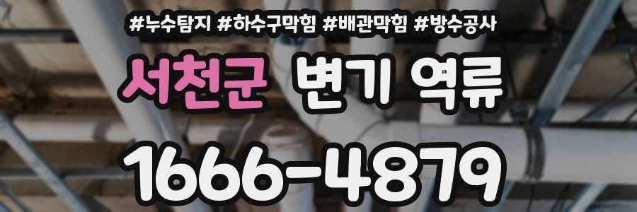 서천군 변기 역류